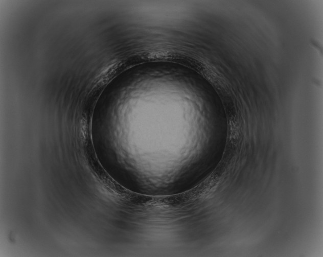 X0000093230648200710171419