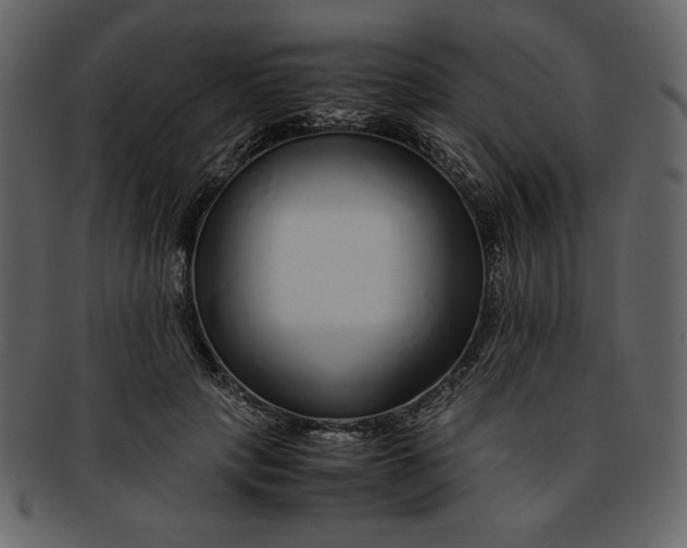 X0000093230649200710171420