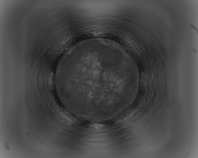 X0000093230650200710171420