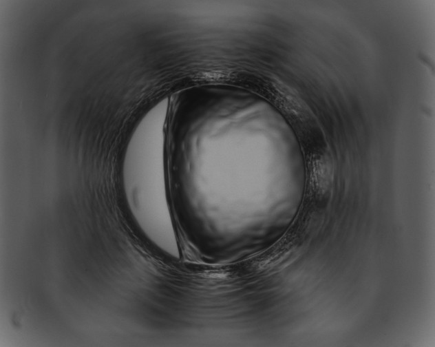 X0000093230651200710171420