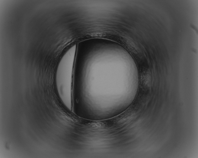 X0000093230652200710171420