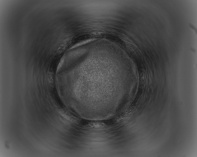 X0000093230654200710171420