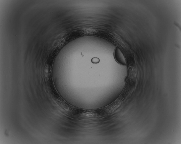 X0000093230655200710171420