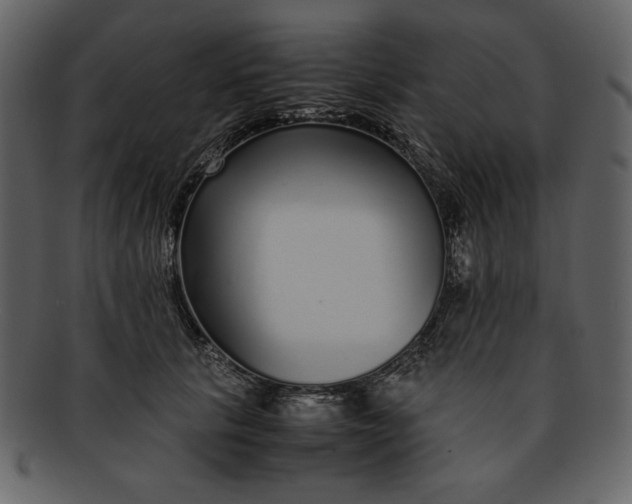 X0000093230657200710171420