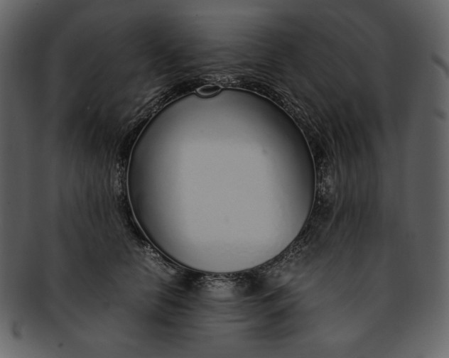 X0000093230658200710171420