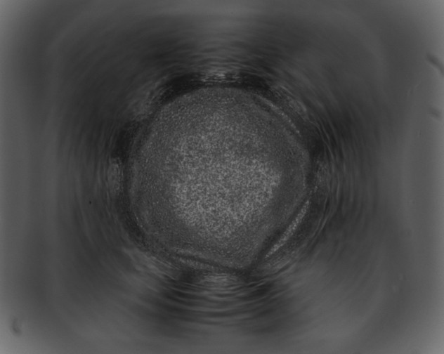 X0000093230659200710171420