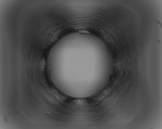 X0000093230660200710171420