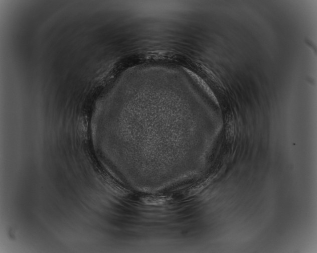 X0000093230661200710171420