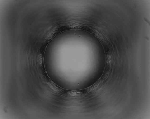 X0000093230664200710171420