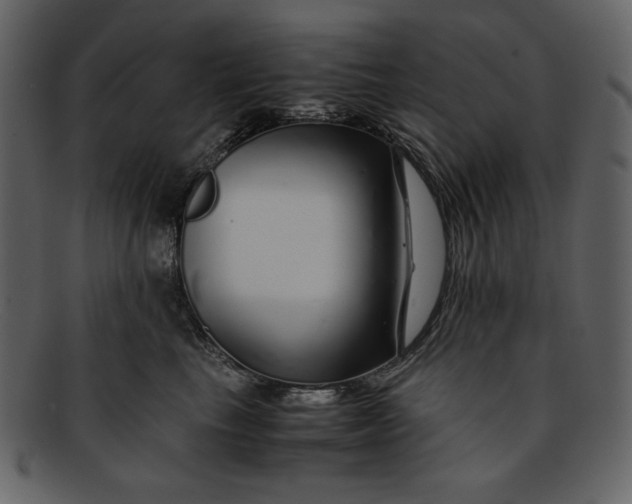 X0000093230665200710171420