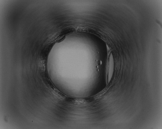 X0000093230666200710171420