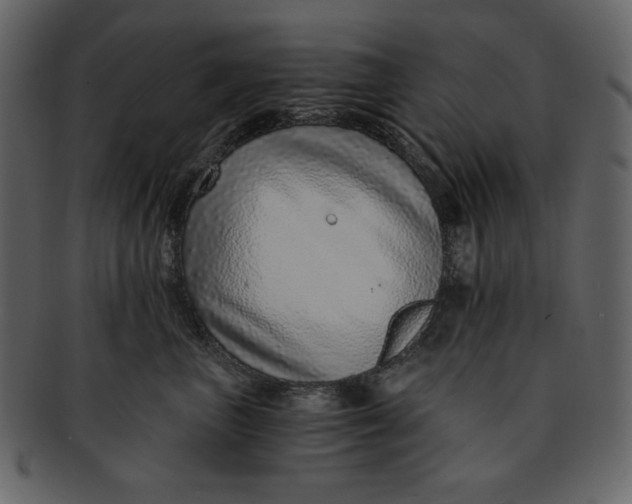 X0000093230667200710171420