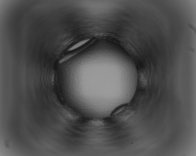 X0000093230668200710171420