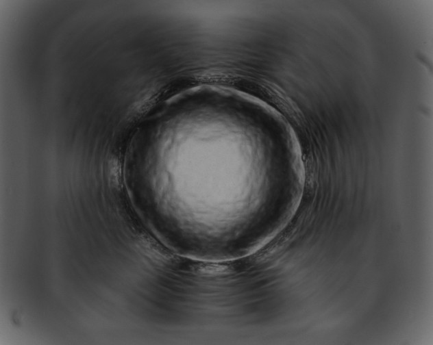 X0000093230669200710171420