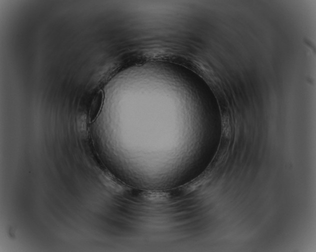 X0000093230670200710171420