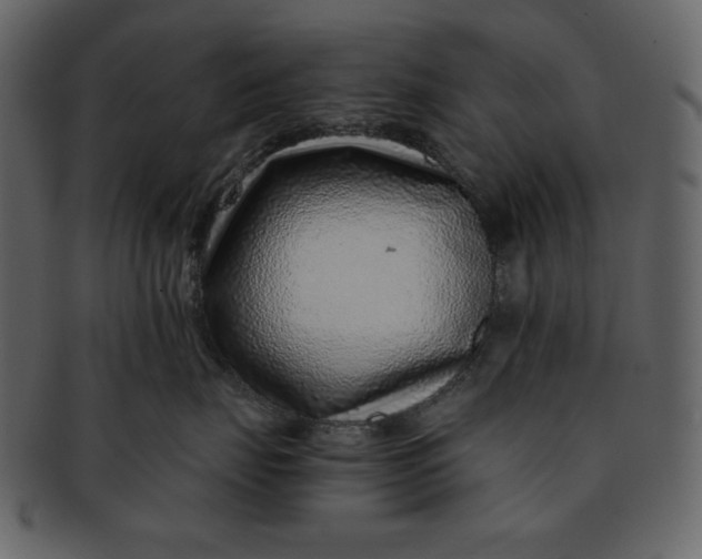 X0000093230671200710171420