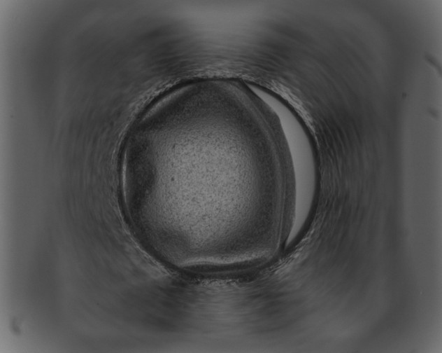 X0000093230673200710171419