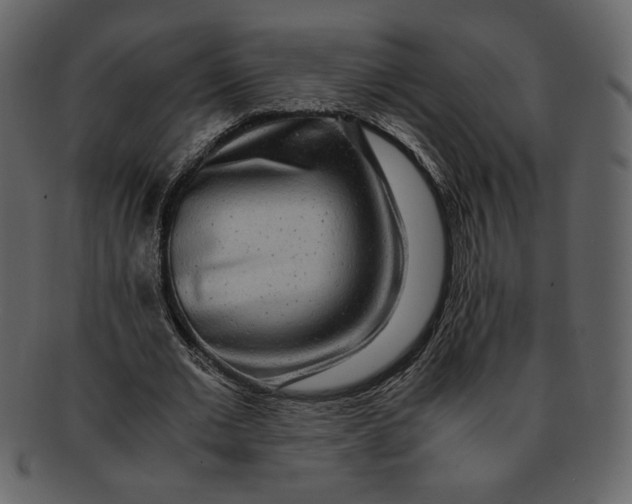 X0000093230677200710171419