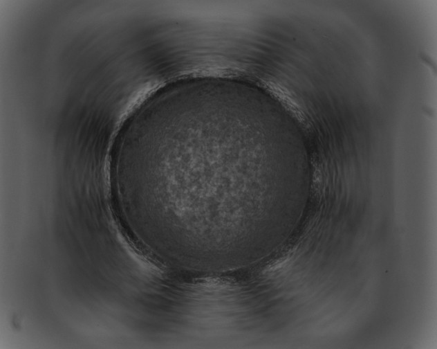 X0000093230678200710171419