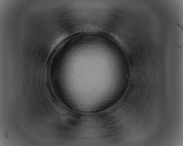 X0000093230679200710171419