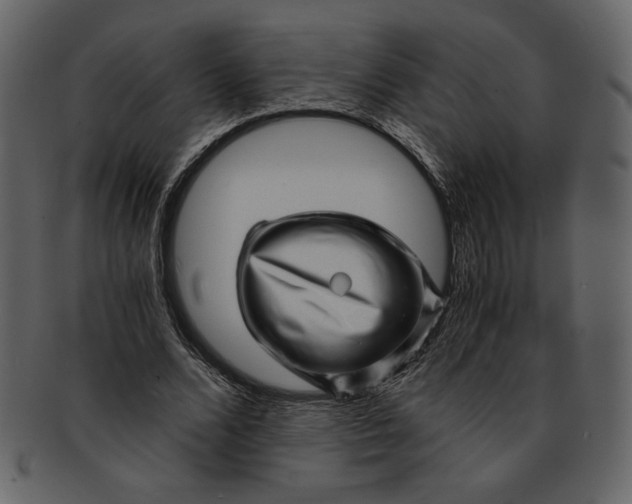 X0000093230680200710171419