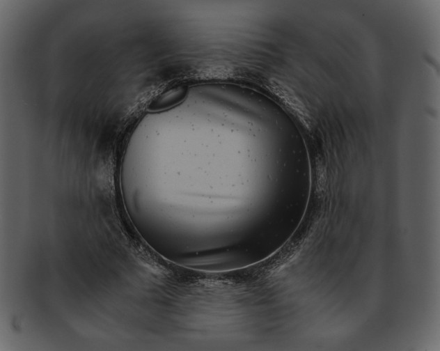 X0000093230681200710171419