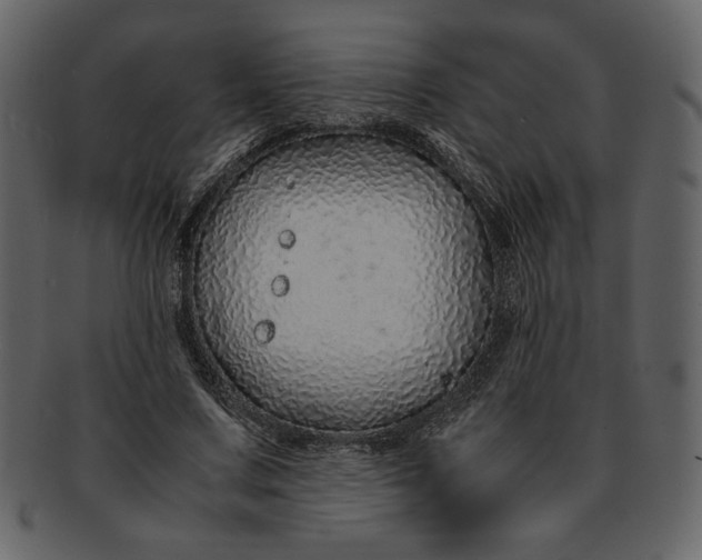 X0000093230683200710171419