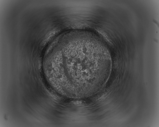 X0000093230687200710171419