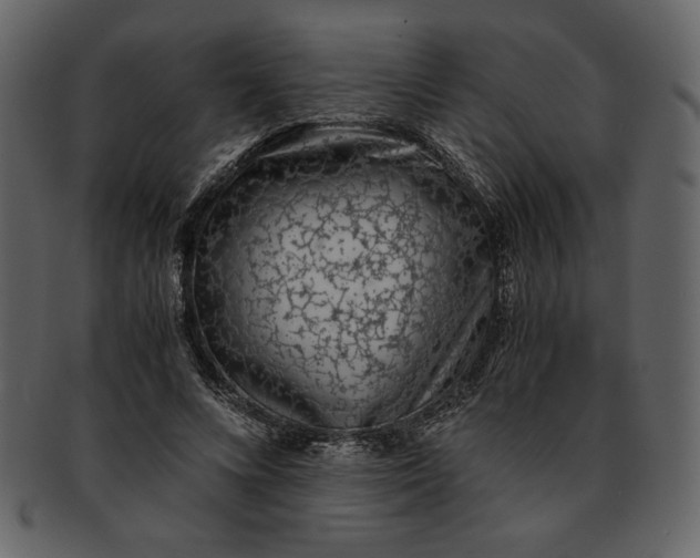 X0000093230688200710171419