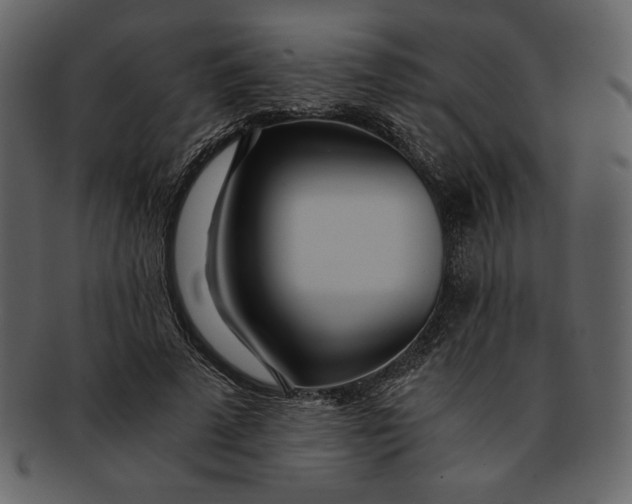 X0000093230689200710171419