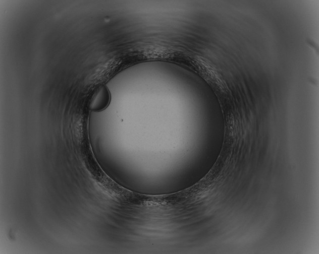 X0000093230690200710171419