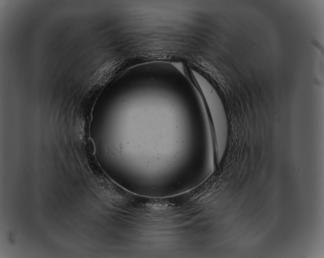 X0000093230693200710171419