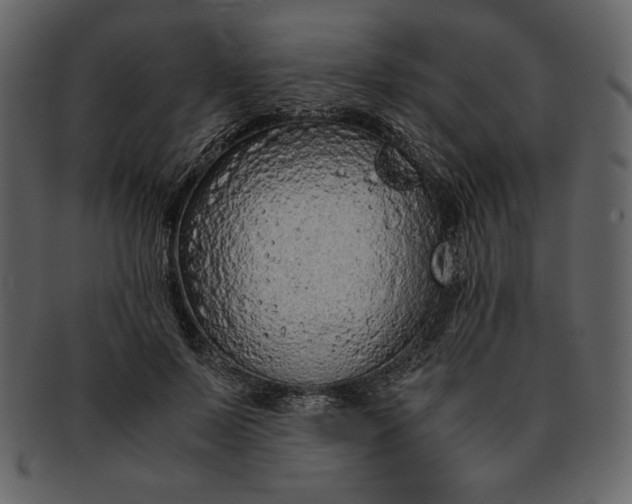 X0000093230695200710171419