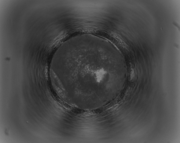 X0000093230696200710171419