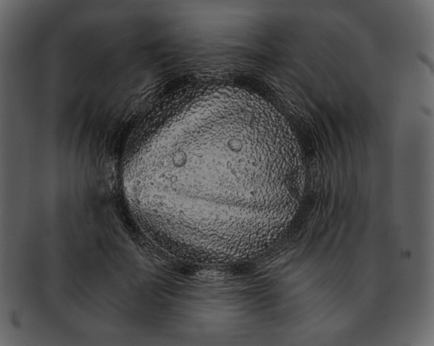 X0000093230699200710171419