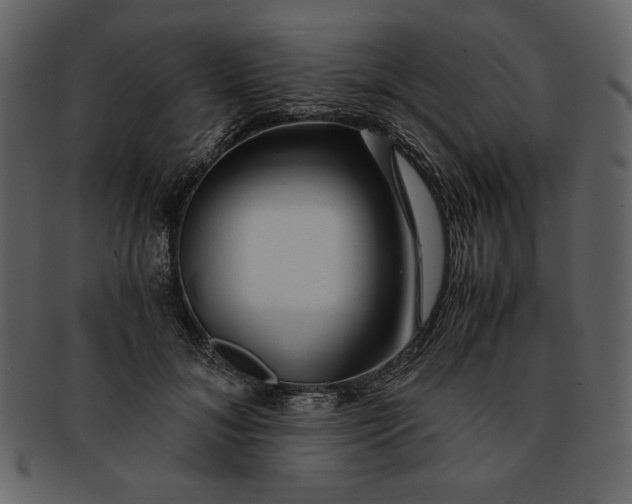 X0000093230700200710171419