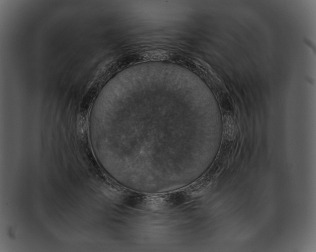 X0000093230701200710171419