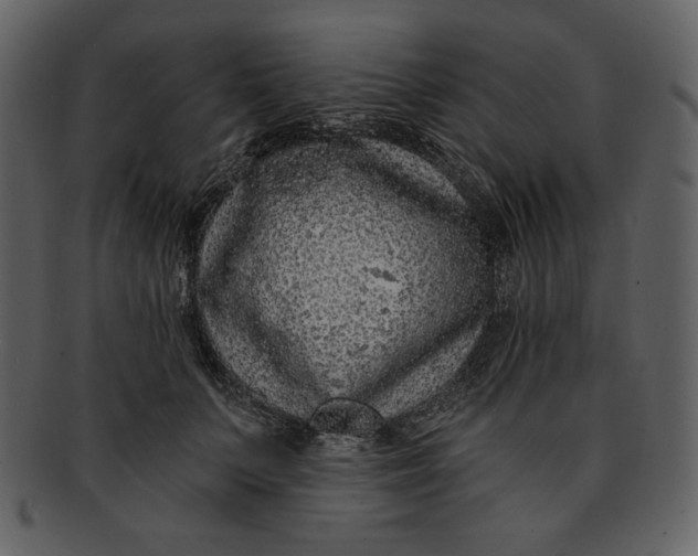 X0000093230703200710171419