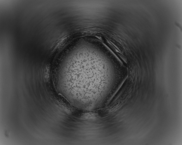 X0000093230708200710171419