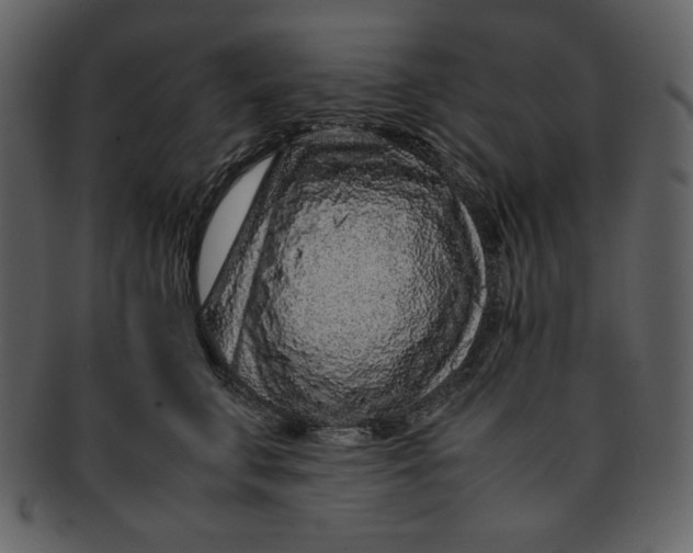 X0000093230711200710171419