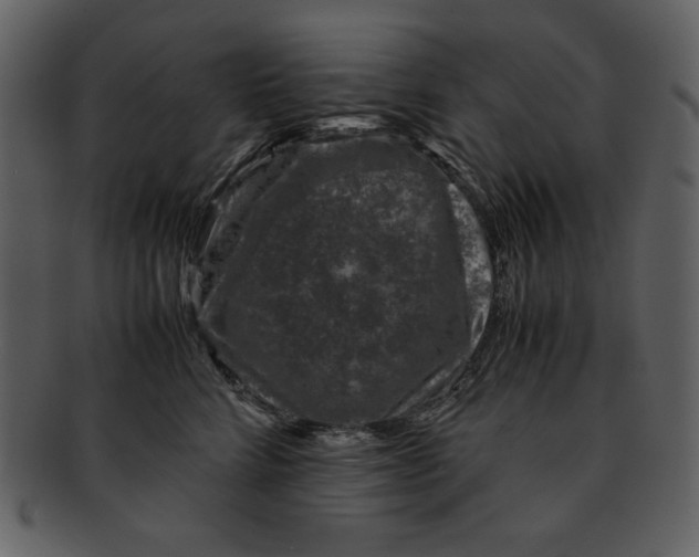 X0000093230712200710171419