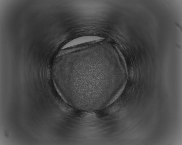 X0000093230715200710171419