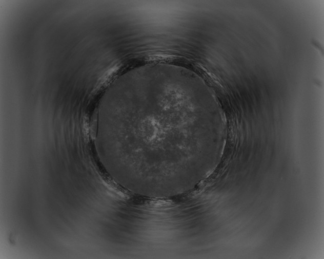 X0000093230716200710171419