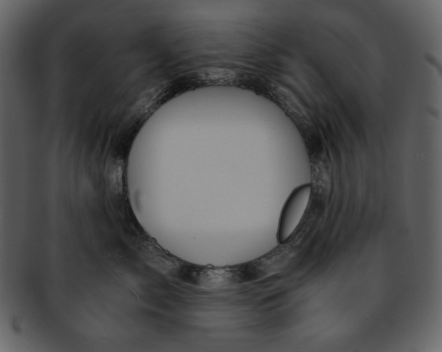 X0000093230717200710171419