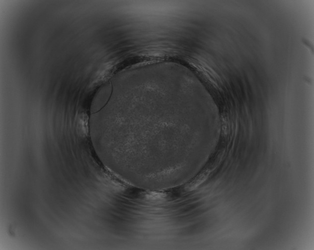 X0000093230718200710171419