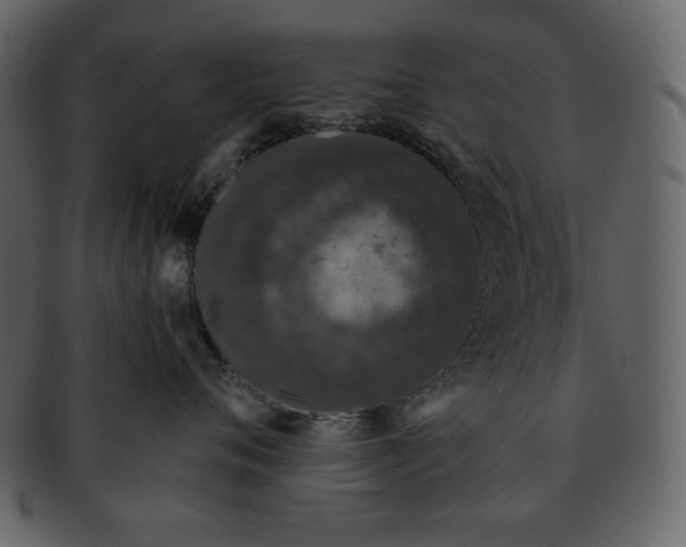 X0000093230720200710171419