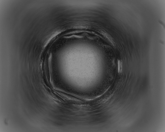 X0000093230723200710171418