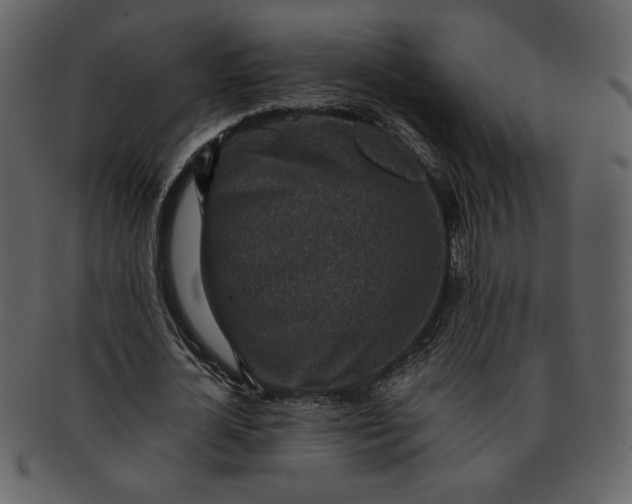 X0000093230724200710171418