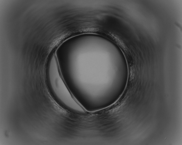 X0000093230725200710171418