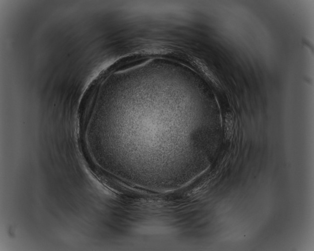 X0000093230726200710171418